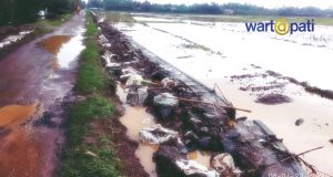 berita pati hari ini dukuhseti kenanti