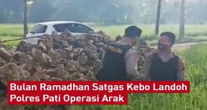 Berita pati