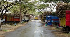 berita pati pabrik trangkil