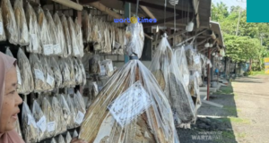 Darmiatun salah satu pemilik kios ikan asin di Jalan Pantura Rembang Bonang Lasem Kamis (30/6/22) Istimewa/wartatimes