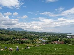 Waspada Hujan Ringan hingga Sedang Guyur Pati Raya Hari Ini