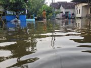 Diguyur Hujan Deras, Empat Kecamatan di Pati Terendam Banjir