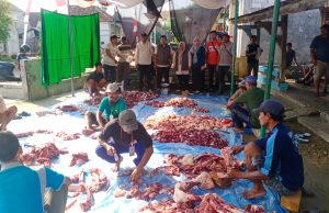 Sapi Kurban Presiden Prabowo di Pati Hasilkan 350 Kg Daging, Warga Kebagian Lebih 1 Kg
