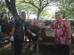 Dinas Pertanian Pati Perketat Pengawasan Hewan Kurban Jelang Iduladha