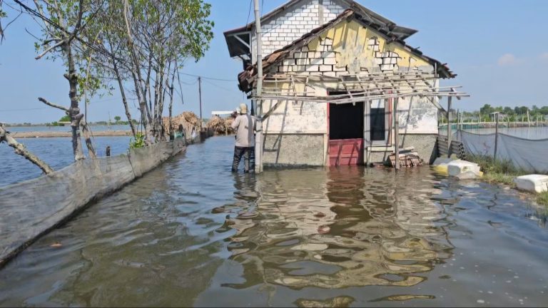 Rob di Tunggulsari Kian Parah, Pemkab Pati Upayakan Peninggian Tanggul
