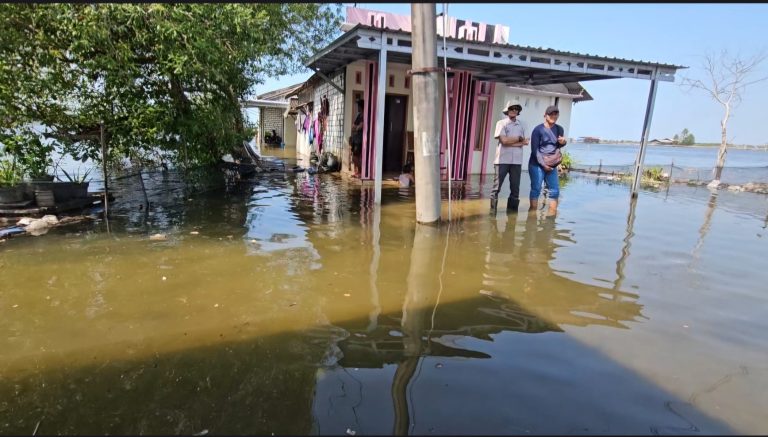 Tunggulsari, Desa di Pesisir Pati yang Terancam Hilang Akibat Rob