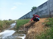 Diduga Tercemar Limbah Pabrik, Petambak Juwana Rugi Puluhan Juta