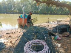 Harga Rajungan Tinggi, Nelayan Pati Malah Kesulitan Cari Tangkapan