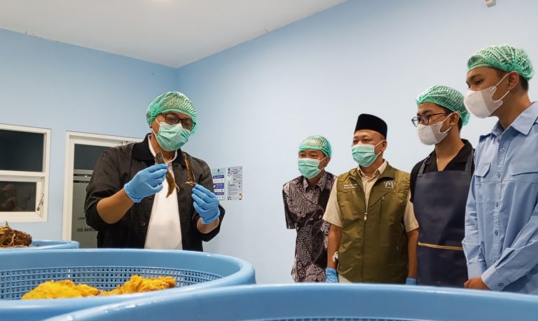 ‎Plt Bupati Pati Bongkar Sejumlah Temuan saat Sidak SPPG di Cluwak, Mulai Lele Mini hingga IPAL yang Cuma Pajangan